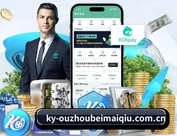 欧洲杯买球 APP 深度功能